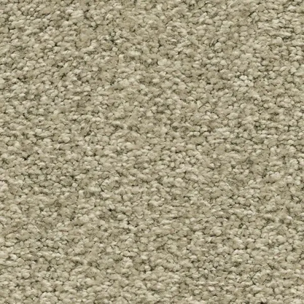 Draufsicht auf Vorwerk Romance 6C79 – Velours Teppichboden in gedecktem Farbton, ohne Label und Badge